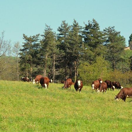 Gites A La Ferme De Bacon Saint-Sylvestre (Ardeche) Exterior foto