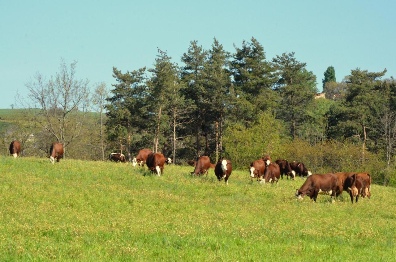 Gites A La Ferme De Bacon Saint-Sylvestre (Ardeche) Exterior foto